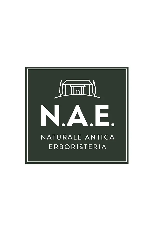 N.A.E logo